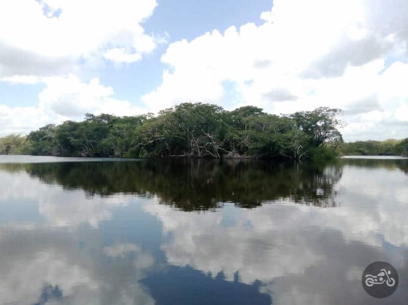 View of the New River and surrounding jungle by boat in Orange Walk District, Belize