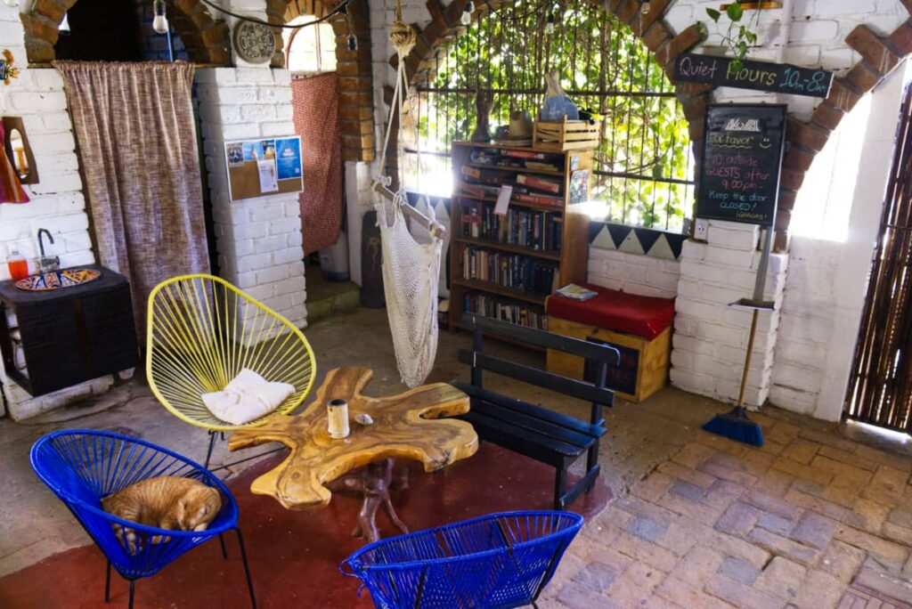 An orange tabby cat lounges in a bright blue chair in the lounge area at Hostel Akumal in La Punta.