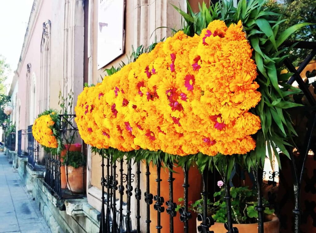 For Oaxaca Day of the Dead, Marigold flowers are woven together with a red flower and hung from the metal balcony.