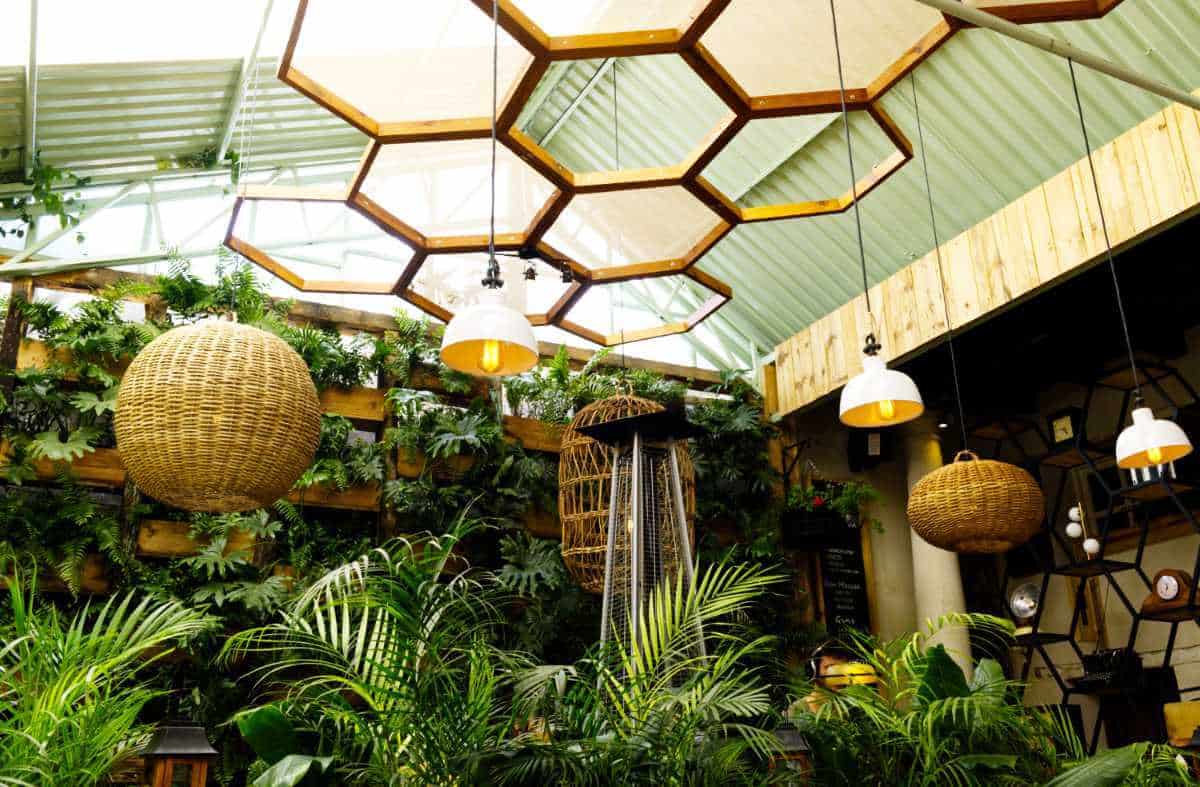 At a restaurant in San Cristobal de las Casas, a variety of natural and metal light fixtures hang from a decorative honeycomb platform hung from the ceiling. Tropical plants line the back wall and others fill in from the floor.