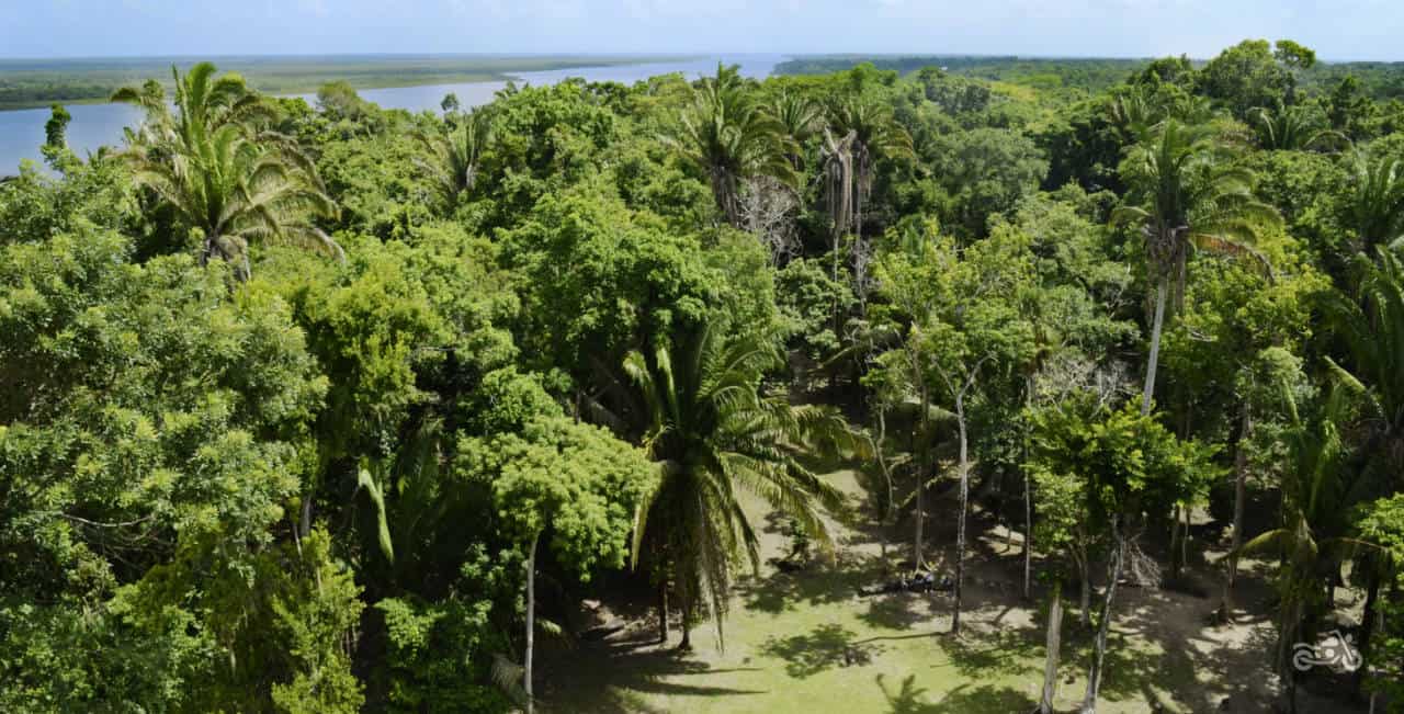 View of the New River and surrounding jungle from atop the High Temple at Lamanai in Belize