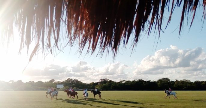 The Yucatan Polo Club makes our list of The Best Things To Do In Merida Mexico. Rub elbows with Merida elite during one of their casual scrimmage matches.