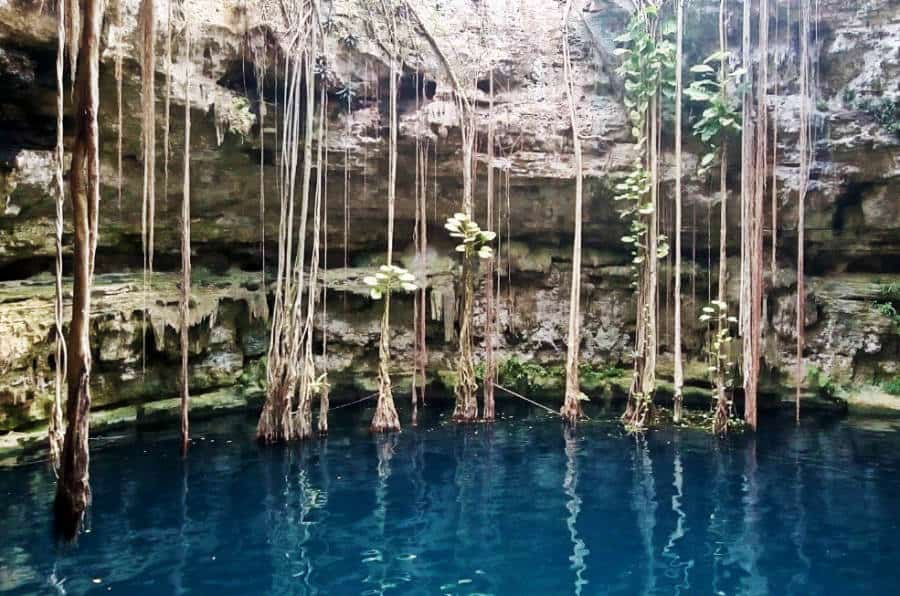 A beautiful view of a cenote in Valladolid, Mexico.