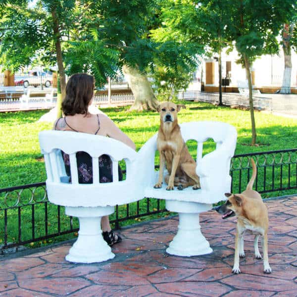 A woman sits with her dogs on the you and me chairs at the Valladolid Zocalo.