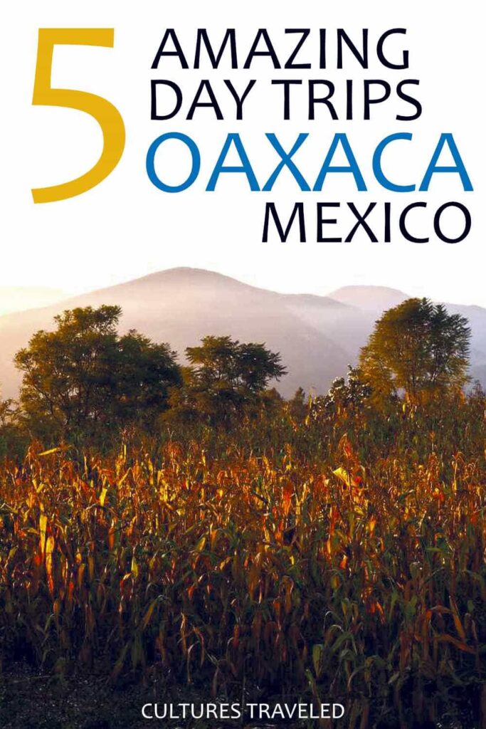 5 Amazing Day Trips Oaxaca Mexico text overlays a vertical image of mountains as the sun streams across the corn plants in the foreground.