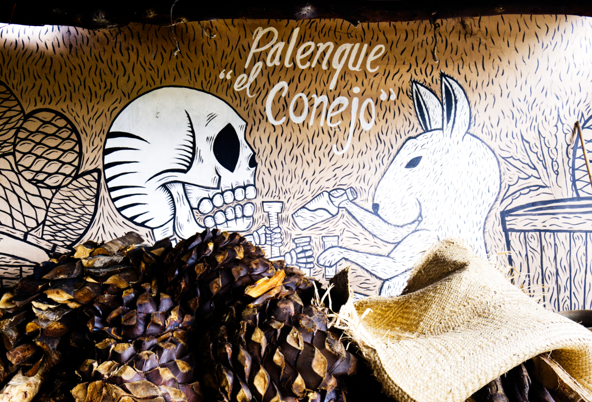 A black a white life-size sketch of a skull and rabbit decorate the wall of mezcal distillery El Conejo in Santa Catarina de Minas. In front area pile of roasted agaves.