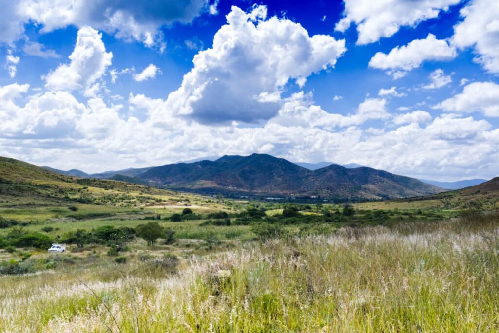 A wide angle view in the agave fields of the mountains, blue sky, and white clouds. Conejo's pickup truck sits in the middle.