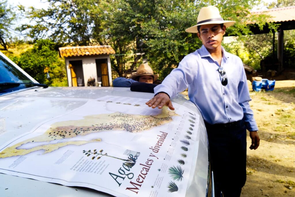 To start the Oaxaca mezcal tour, Victor lays a map of Mexico and the diversity of agaves on the hood of Conejo's white pickup truck.
