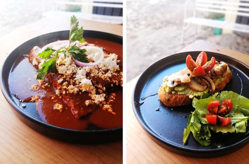 Two vertical images of breakfast in Oaxaca, Centro. On the left a black round plate of enchiladas are smothered in red mole coloradito sauce and topped with crumbled queso fresco. On the right a large piece of bread is layered with smashed avocado, sauteed mushrooms, and tomato. Served with a small side salad.