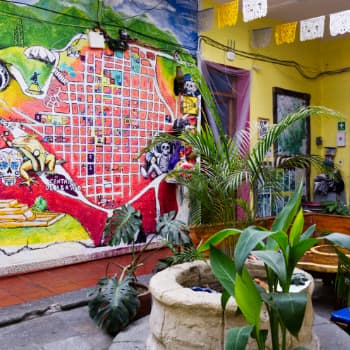 At Iguana Hostel in Oaxaca, a colorful map is handpainted on the wall with plants in the foreground.