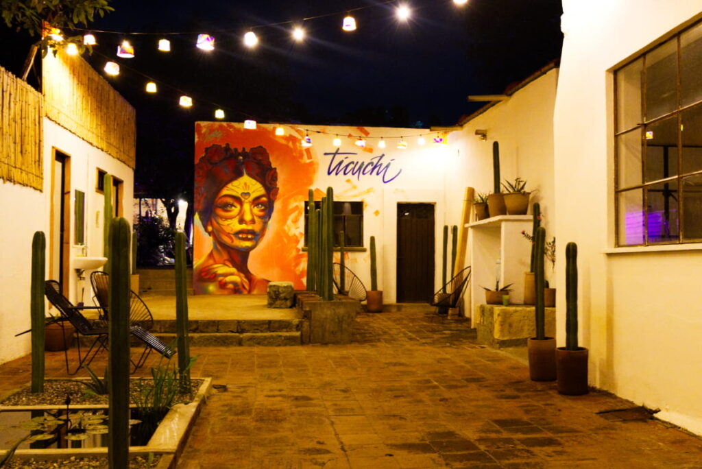 At one Oaxaca hostel, a striking portrait of a woman is painted on the back wall. In the foreground are tall cactus and a small pond.