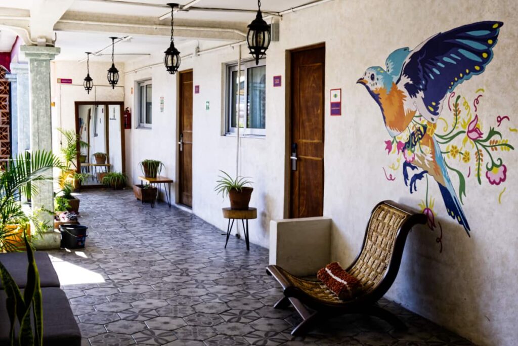 The hallway of the second level at Selina Hostel is decorated with a large mirror, hanging lamps, and plants. A wooden chair and colorful bird mural round out the decor.