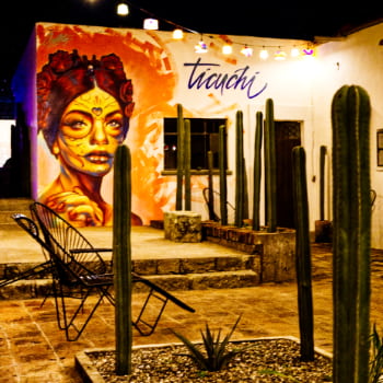 A night shot of this hostel courtyard features a dramatic hand-painted portrait of a woman with the word Ticuchi on the side. In hte foreground are skinny, tall green cactus that are native to the Oaxaca region.