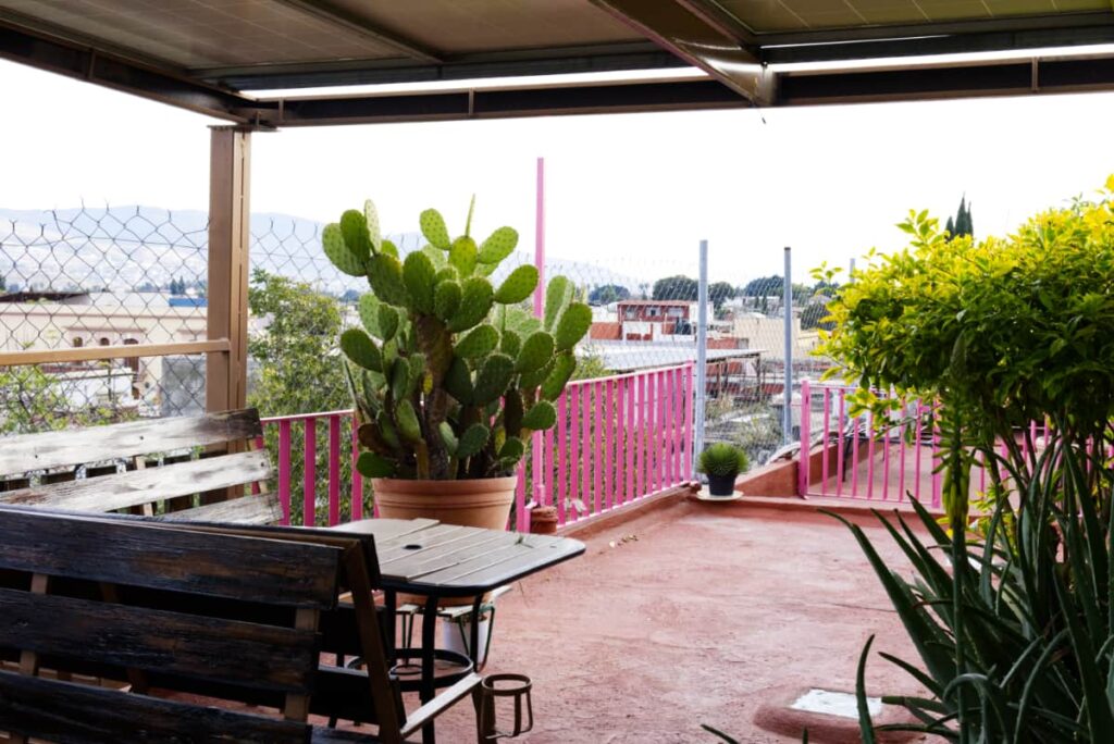 A large green cactus plant decorates the rooftop seating area at Hostal Naba Nandoo in Oaxaca. There is also bench seating with tables and mountain views.
