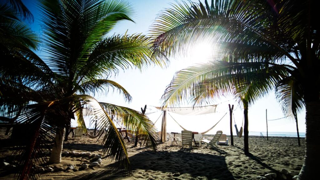 On the beach in Chacahua, the strong sun streams through the fronds of the palm trees that frame the hammock and seating area in the sand.