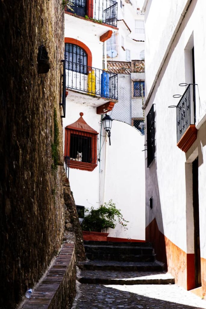 A narrow stepped passageway in Taxco, Mexico is bordered by white houses with black metalwork. In the far window, a white dog looks out to the street.