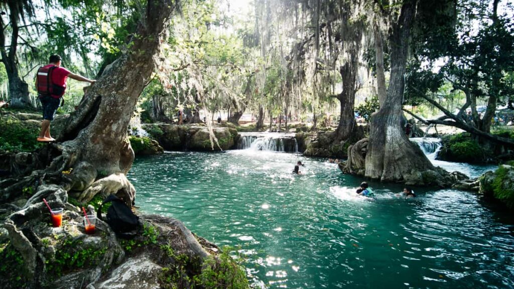 A man wearing a life jacket leans against a tree on the banks of El Trampolin in Tamasopo while kids play in the water below. The trees in the water drip with spanish moss and provide shade.