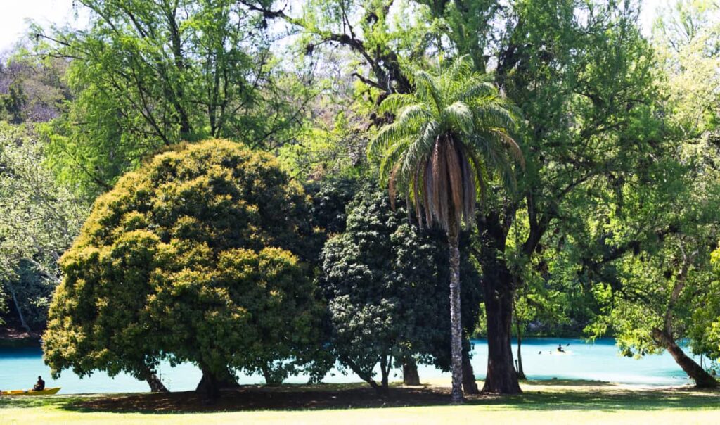 There are various Huasteca Potosina tours you can book, including along this tree-lined riverbank where a man is kayaking in the bright turquoise waters while another prepares his kayak on the shore.