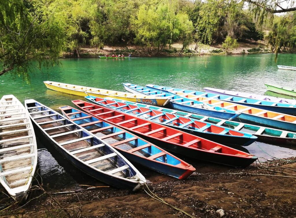 On a Huasteca Potosina tour of the Tamul Waterfall, colorful wooden boats with rungs for seats are tied along the shore of a green colored river. In the background a boat passes by with passengers on a tour.