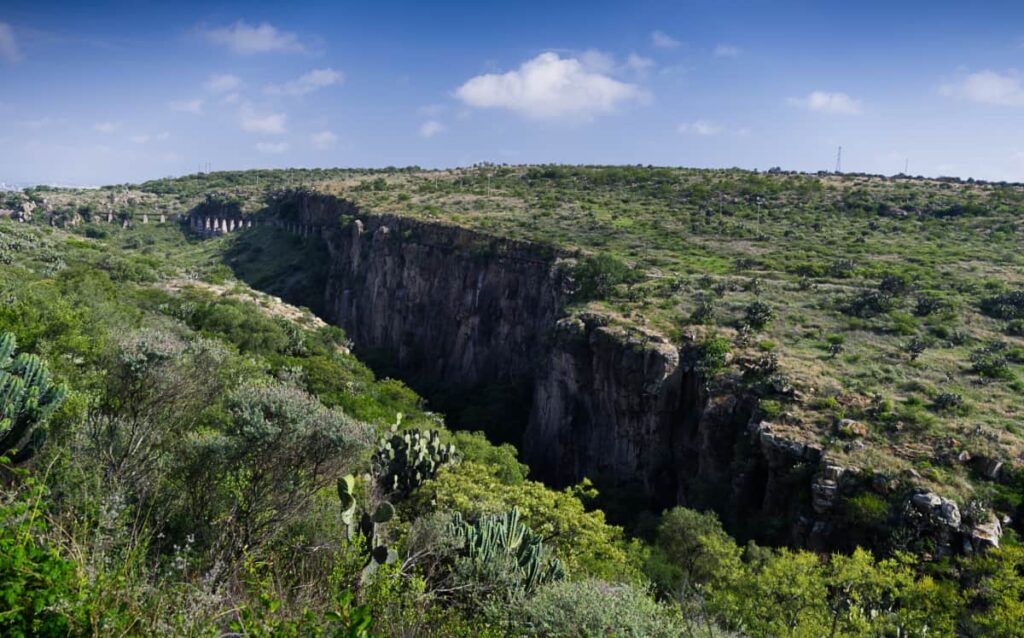 A narrow, deep canyon surrounded by green and a few cactus is the focus at El Charco del Ingenio, one of several San Miguel de Allende day trips.