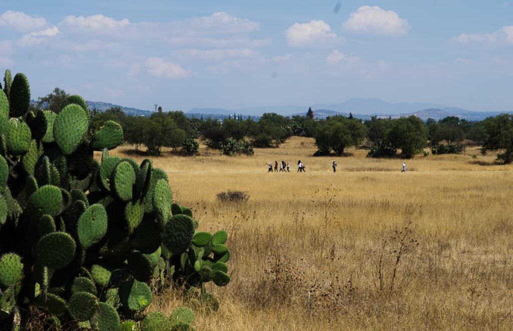 While visiting Teotihuacan from Mexico City, a group of people walk in the field with the surrounding mountains in the background. In the foreground is a large green cactus plant.