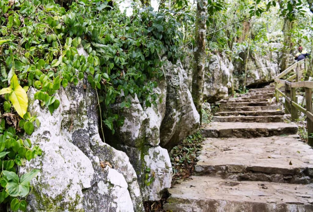 Manmade rock steps with a wooden handrail lead you to Sotano de la Golondrinas in San Luis Potosi, Mexico.