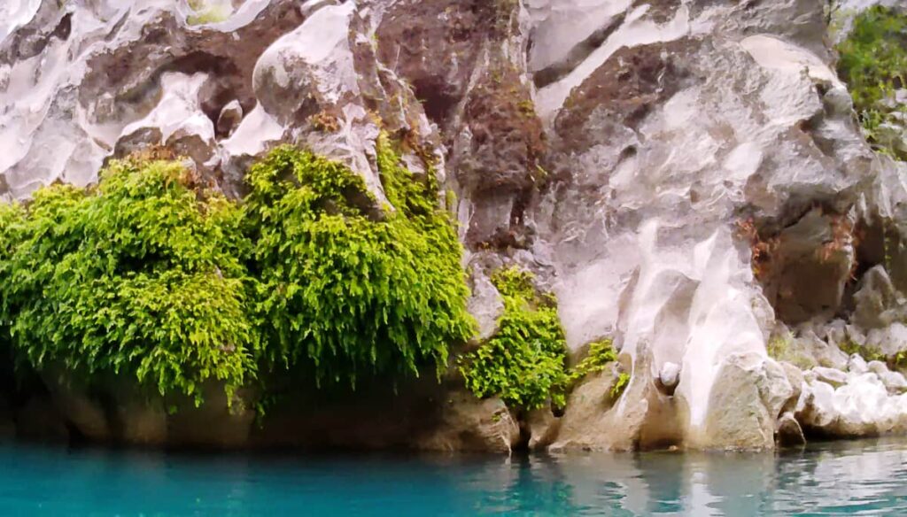 Along the banks of the Tampaon River in San Luis Potosi are large, sculpted rocks with large green ferns growing out of the rocks at various points. The river below is a deep turquoise blue.
