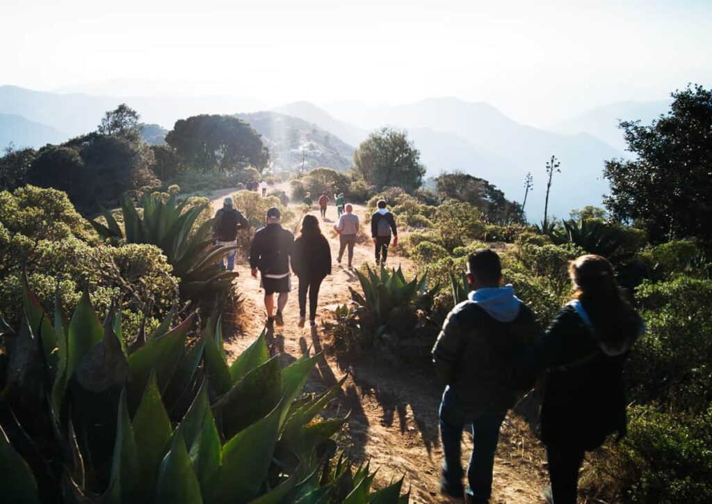 People hike along Mirador Cuatro Palos after a sunrise hike. The dirt path is lined with native plants including large maguey plants.