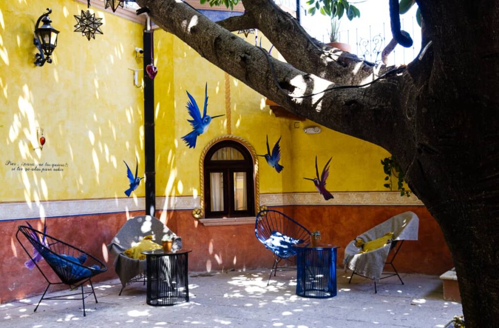 A courtyard view of one of the best hotels in Queretaro. From behind the tree is a bright yellow wall painted with blue hummingbirds. In front are several tables and chairs.