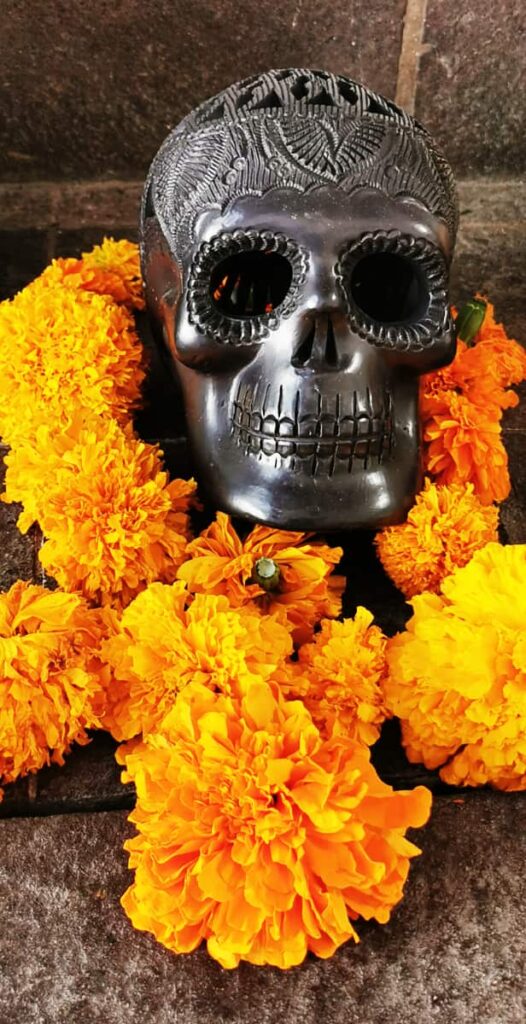 A skull made from the traditional black pottery of Oaxaca is surrounded by fresh marigold flowers. The skull is intricately carved with designs for Dia de los Muertos.