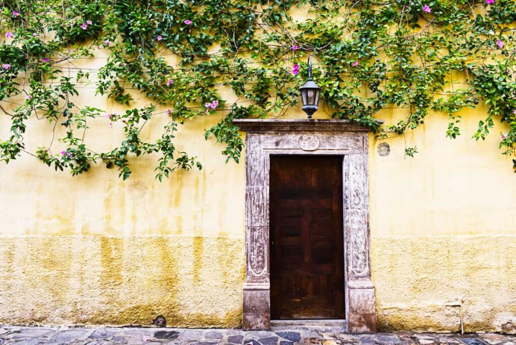 A San Miguel de Allende street scene shows a yellow stucco wall with a wooden door and elaborate doorframe. Green vines with pink flowers are growing from the top of the wall towards the door.