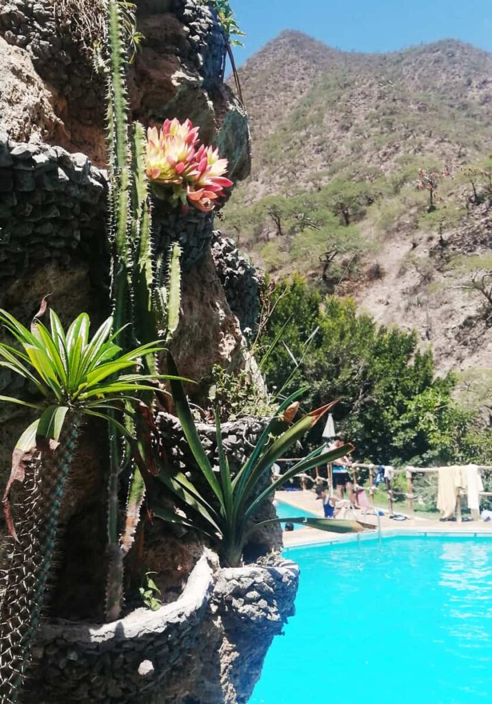 A bright blue swimming pool at Tolantongo, Hidalgo with mountains in the background and plants growing from the rocks in the foreground.