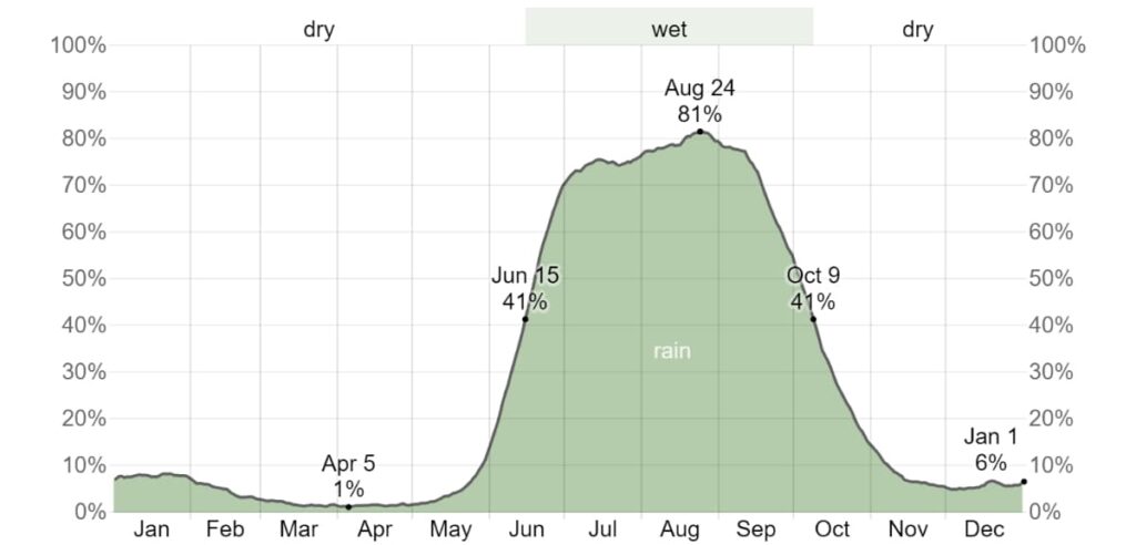 A graph of the rainy season in Puerto Vallarta shows a concentrated levels of rain from June through September with a peak in August at 81%.
