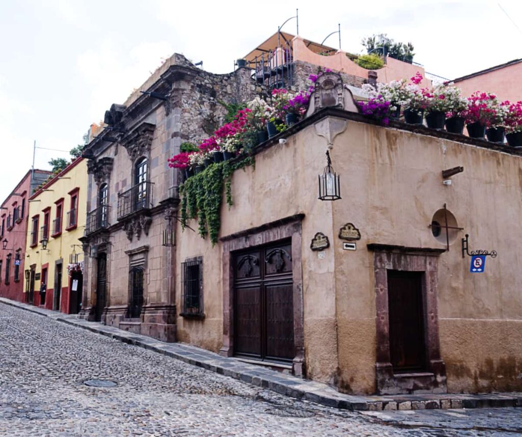 As seen on a San Miguel de Allende walking tour, beige colored building is decorated with pots of brightly colored flowers lining the rooftop. The cobblestone street continues with other subdued colored buildings lining the street.