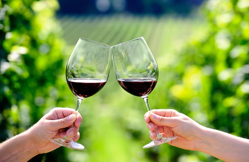 On a San Miguel de Allende wine tour, two hands each holding a glass of red wine clink the glasses together as they cheers in front of the vineyard.