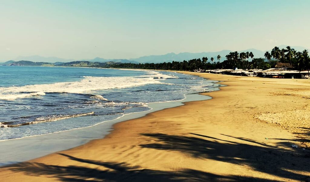 A long section of sand lined with palm trees at Playa Linda in Ixtapa Mexico with low mountains in the background. Shallow waves come to shore along the golden sand.