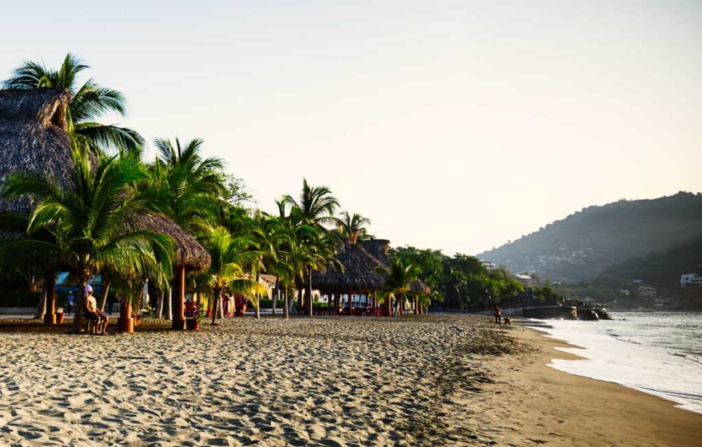 The sand at the main beach in Zihuatanejo in lined with short palm trees and several palapas as gentle waves come to shore.