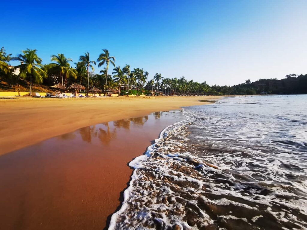 A view from the ocean at Playa Quieta, one of the best beaches in Ixtapa Zihuatanejo. As the bubbly surf retreats, palm trees are reflected in the wet sand.