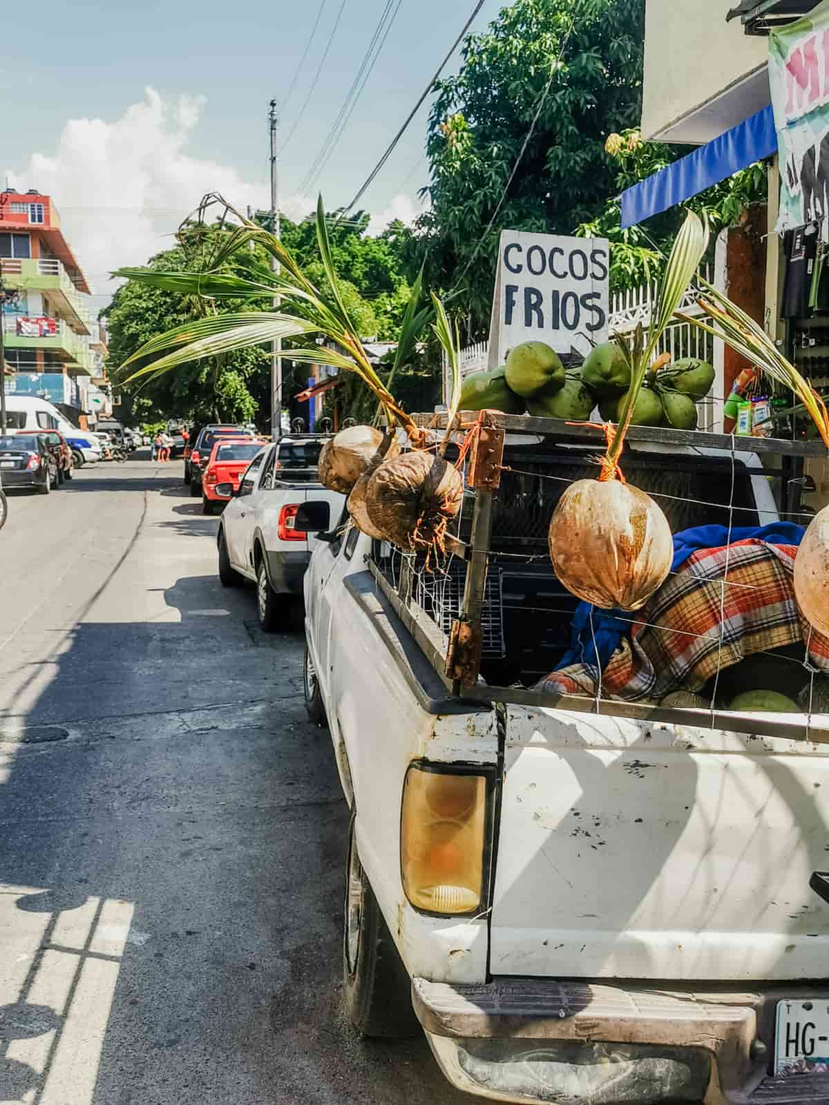 25 Best Things to Do in Zihuatanejo Mexico in 2024