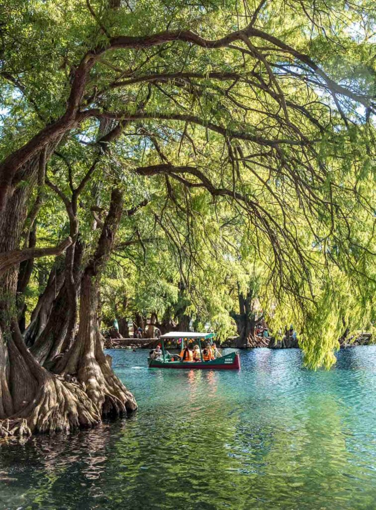 Lago de Camécuaro Michoacan: Mexico National Park