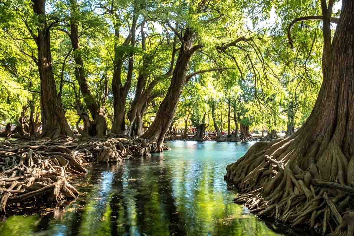 Lago de Camécuaro Michoacan: Mexico National Park