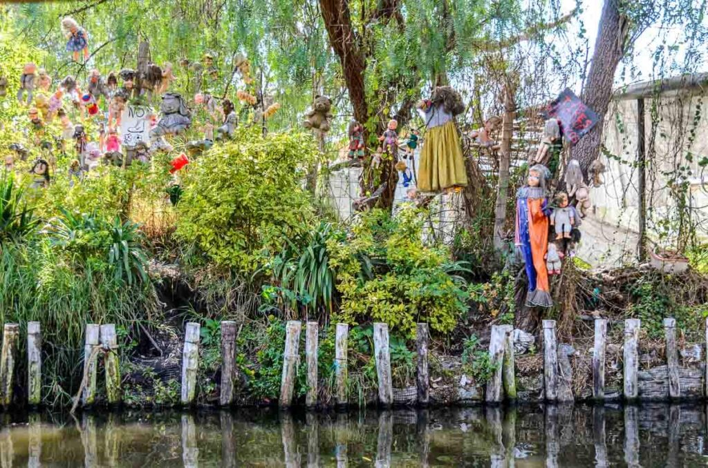 Xochimilco dolls (some small, some bigger) hanging on the tree seen from the canal.