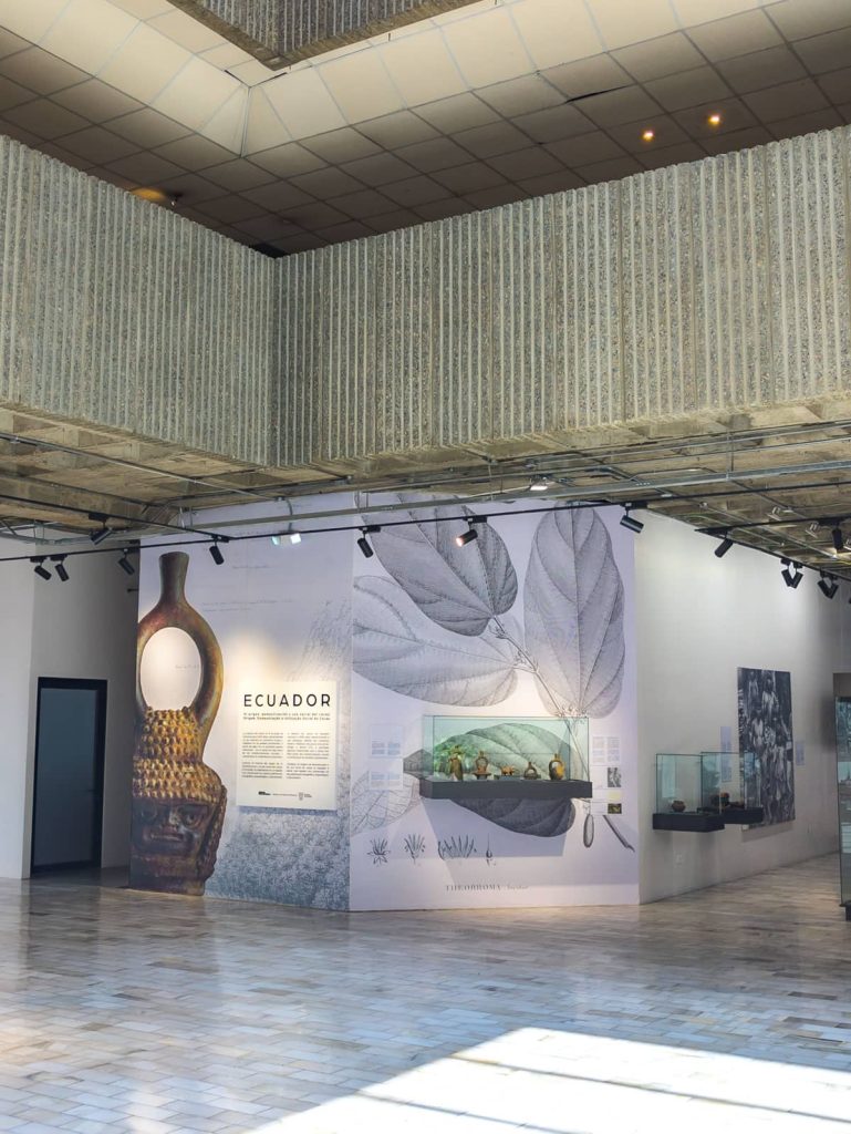 Temporary exhibit space in the Museo Pumapungo of Cuenca with displays on Ecuadorian biodiversity and archaeological findings, featuring clean, modern design.