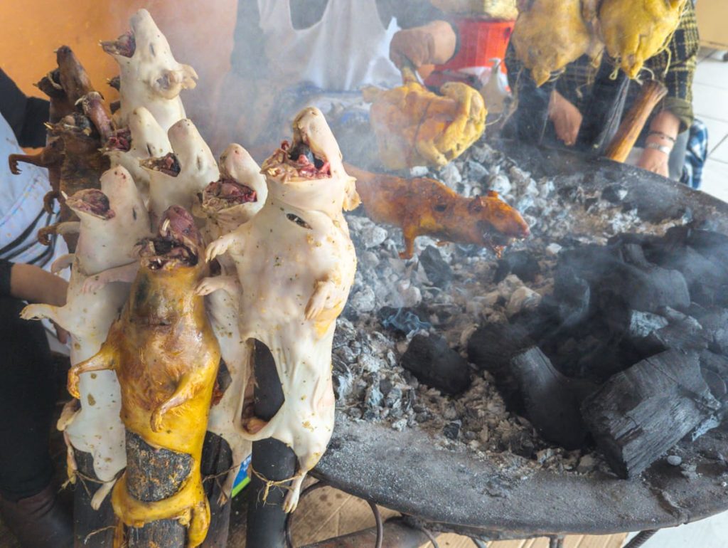 Whole cuy (guinea pig) on wooden skewers roasting over hot coals, some raw and some charred, surrounded by smoke and vendors. Cuy is one of the most famous foods of Ecuador.