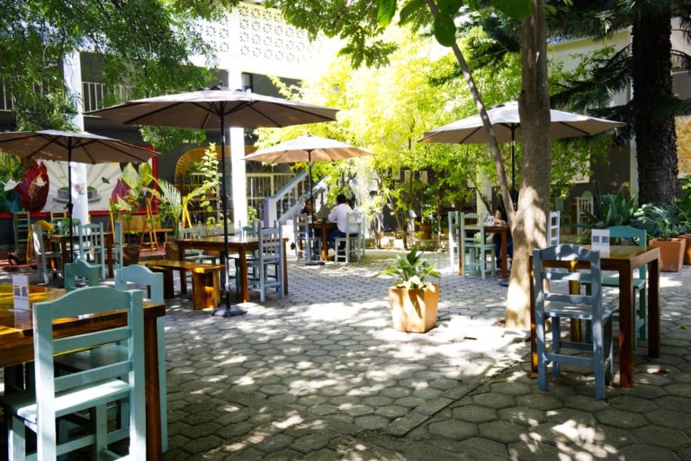Oaxaca breakfast is heightened by the atmosphere of this tranquil patio. Trees, tropical plants, and umbrellas provide shade for the tables.