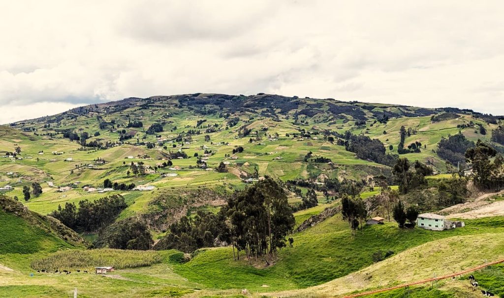 Green rollings hills near Alausí Ecuador as seen on the bus from Baños to Cuenca. The hills are dotted with houses, trees, and farmland.