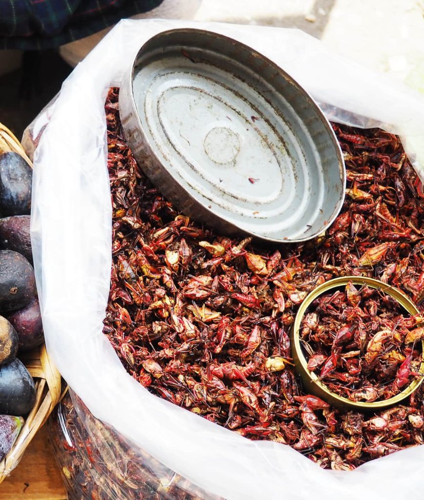 Toasted red chapulines (grasshoppers) in a plastic bag at a market, with tin scoops for measuring and figs in a basket beside them.