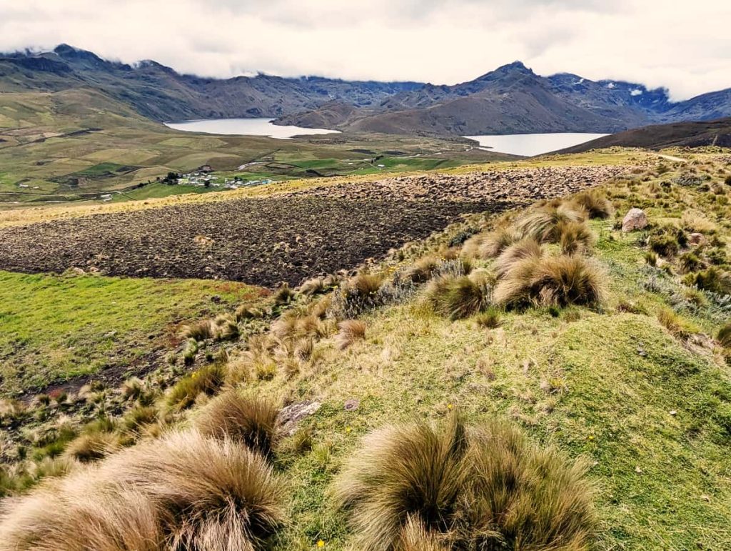 A distant view of two lakes at Lagunas de Ozogoche surrounded by mountains. In the foreground, golden tussock grass rolls across the páramo landscape.