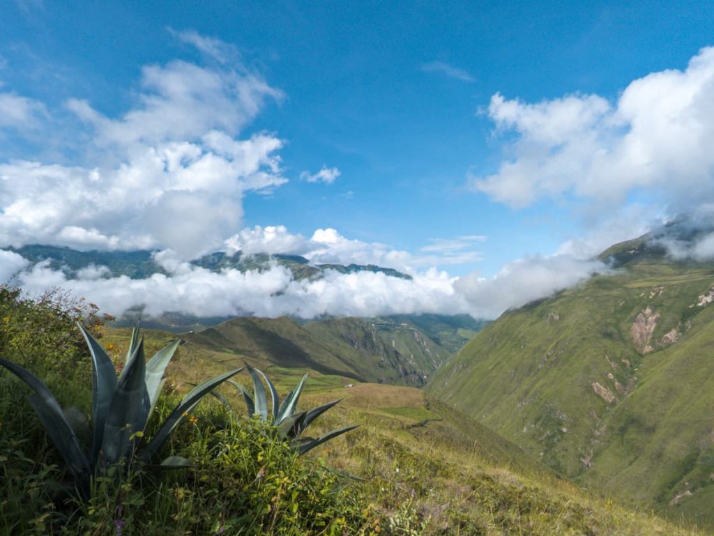 During the Devil's Nose hike in Alausí Ecuador, a view of the gorge with green mountains and low hanging, puffy white clouds under a blue sky. In the foreground are two large spikey plants.