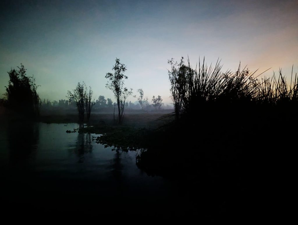 Silhouetted reeds and trees line a still canal in Xochimilco at dawn, the dark sky shifting from blue to light orange over a misty field in the distance.